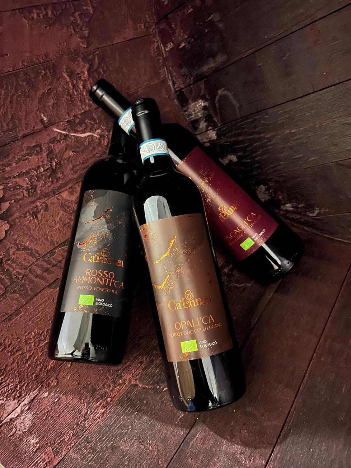 Azienda Agricola Ca' Lunga チント・エウガーネオ エクステリア 写真