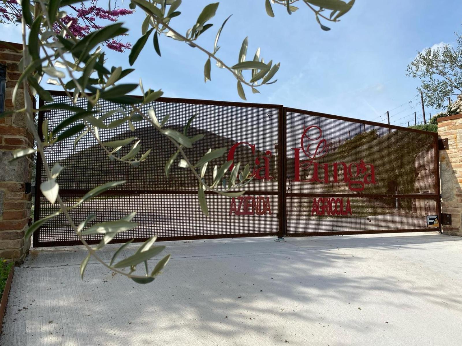 Azienda Agricola Ca' Lunga チント・エウガーネオ エクステリア 写真
